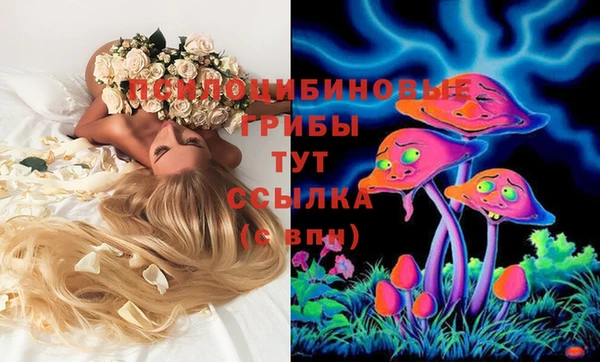 apvp Богородицк