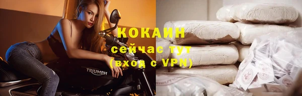 spice Богданович