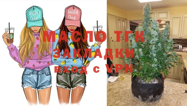 spice Богданович