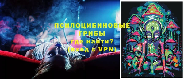 Альфа ПВП Богородск