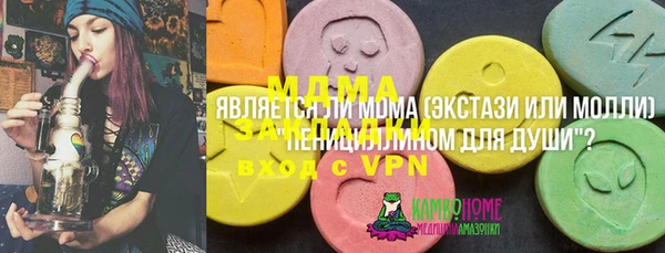 spice Богданович