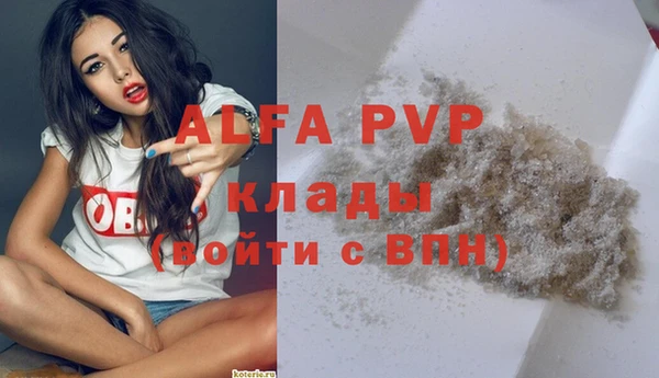 apvp Богородицк